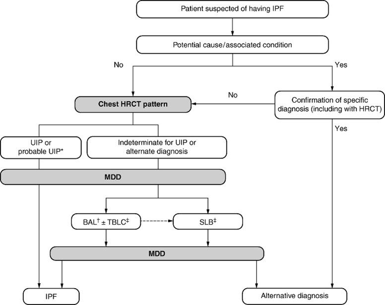 Picture1 Diagnostisch Algoritme Ipf